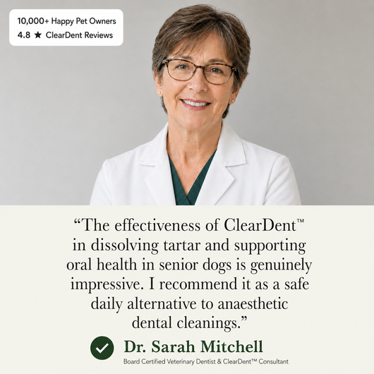Cleardent™ Daily Dental Spray for Dogs & Cats