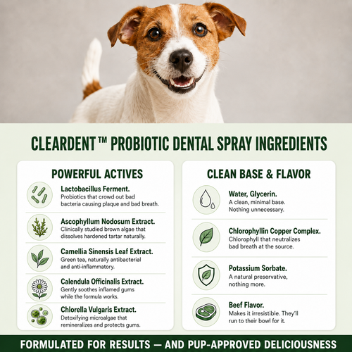 Cleardent™ Daily Dental Spray for Dogs & Cats